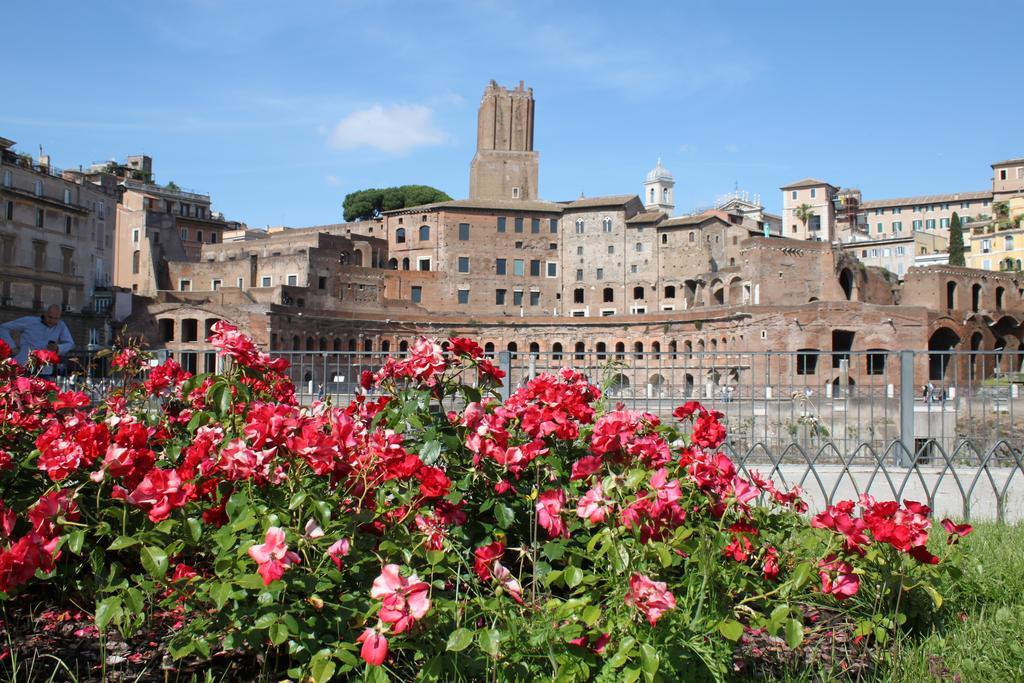 Colosseo *
